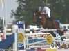 jumper Caspero (Hanoverian, 2003, from Contendro I)