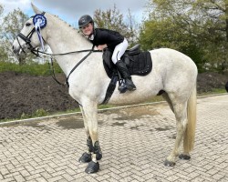 dressage horse Happy Bumblebee (unknown, 2010)