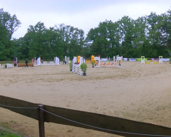 Reitturnier Wesel-Obrighoven 2024