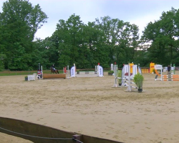 Reitturnier Wesel-Obrighoven 2024