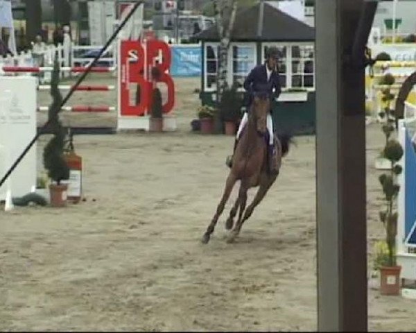 Werne-Lenklarer Reitertage vom 13.-15.+17.-22.04.2012 auf der Reitsportanlage Gripshöver