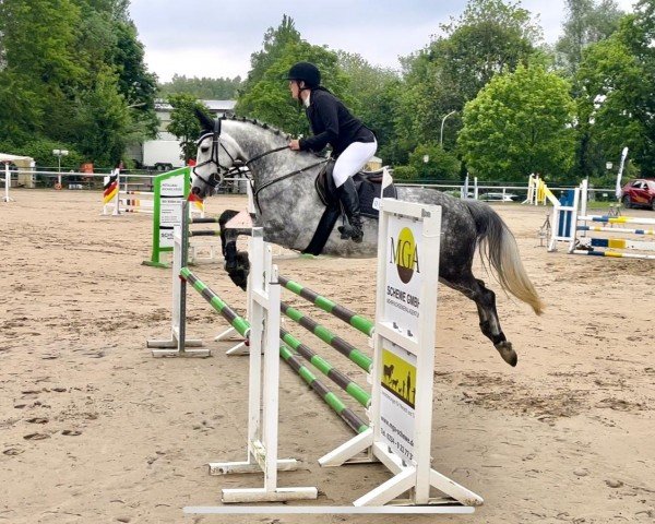 dressage horse Coeur Lumiere (Oldenburg show jumper, 2017, from Cap Chap)