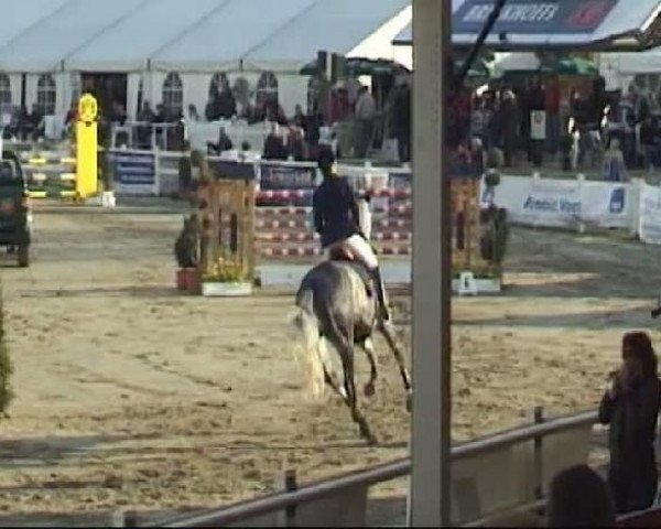 Werne-Lenklarer Reitertage vom 13.-15.+17.-22.04.2012 auf der Reitsportanlage Gripshöver