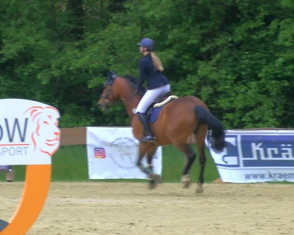 Reitturnier Wesel-Obrighoven 2024