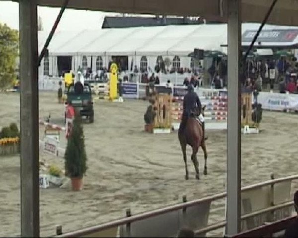 Werne-Lenklarer Reitertage vom 13.-15.+17.-22.04.2012 auf der Reitsportanlage Gripshöver