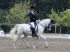 dressage horse Bounty 198 (unknown, 2002)