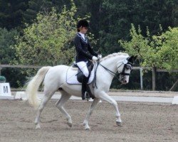 dressage horse Bounty 198 (unknown, 2002)