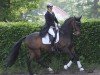 dressage horse Lindström H (Hanoverian, 2009, from Locksley II)