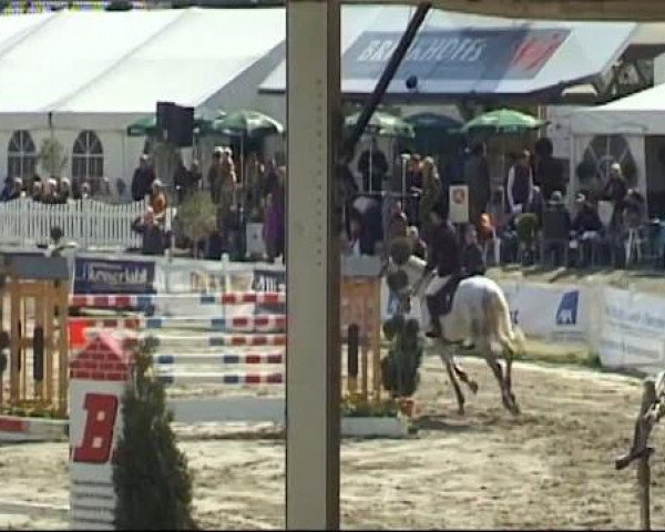 Werne-Lenklarer Reitertage vom 13.-15.+17.-22.04.2012 auf der Reitsportanlage Gripshöver