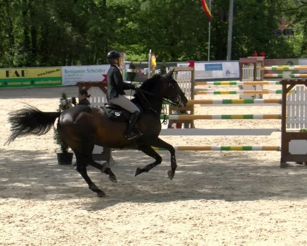 Reitturnier Karlsfeld/Obb. 2024