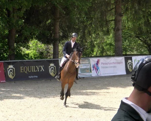 Reitturnier Karlsfeld/Obb. 2024