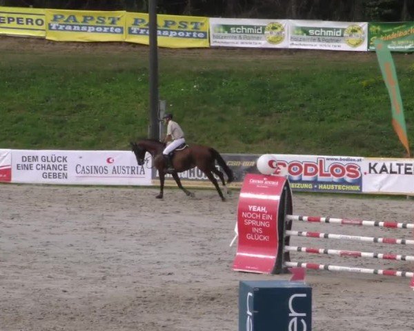 Reitturnier Zeltweg-Farrach 2022