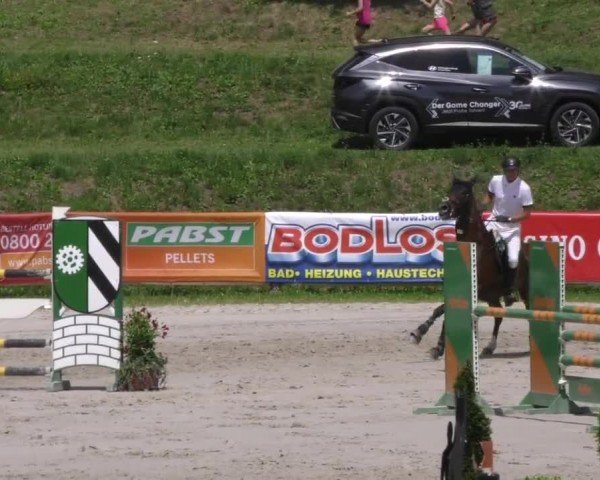 Reitturnier Zeltweg-Farrach 2022