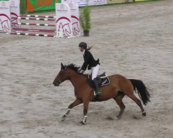 Reitturnier Zeltweg-Farrach 2022