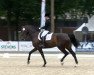 dressage horse Thuenenhofs Fidencia (Hanoverian, 2009, from Fidertanz)