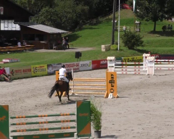Reitturnier Zeltweg-Farrach 2022