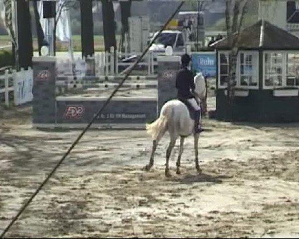 Werne-Lenklarer Reitertage vom 13.-15.+17.-22.04.2012 auf der Reitsportanlage Gripshöver