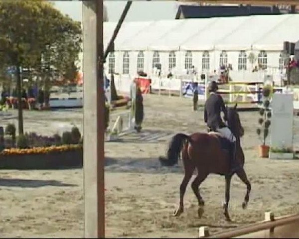 Werne-Lenklarer Reitertage vom 13.-15.+17.-22.04.2012 auf der Reitsportanlage Gripshöver