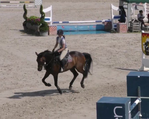 Reitturnier Zeltweg-Farrach 2022
