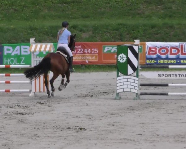 Reitturnier Zeltweg-Farrach 2022