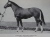 stallion Veston (Noble Warmblood, 1979, from Vers I)