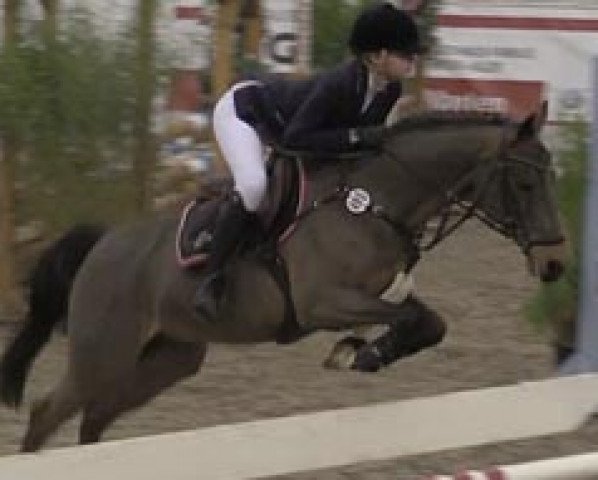jumper Montpellier 5 (German Riding Pony, 2001, from Mentos)