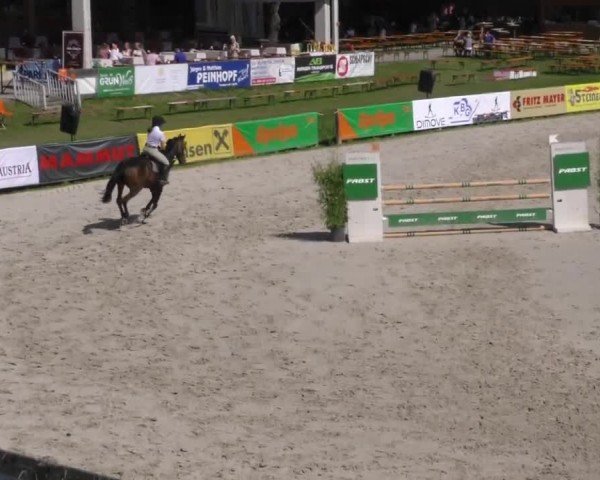 Reitturnier Zeltweg-Farrach 2022