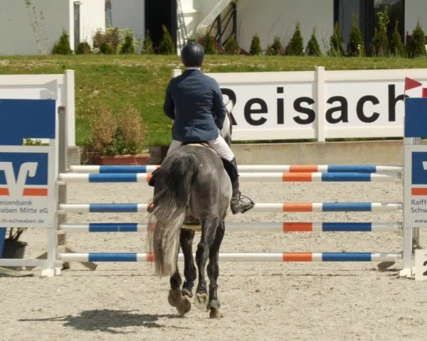 Reitturnier Babenhausen/Schw. 2024