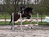 jumper Vasco van de Groenheuvel (Belgian Riding Pony, 2017, from Rob Roy van Het Klavertje)