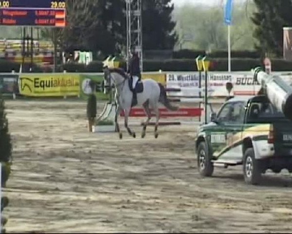 Werne-Lenklarer Reitertage vom 13.-15.+17.-22.04.2012 auf der Reitsportanlage Gripshöver