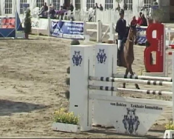 Werne-Lenklarer Reitertage vom 13.-15.+17.-22.04.2012 auf der Reitsportanlage Gripshöver