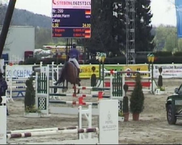 Werne-Lenklarer Reitertage vom 13.-15.+17.-22.04.2012 auf der Reitsportanlage Gripshöver