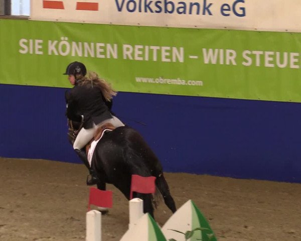 Euregio Springturnier Isterberg 2021