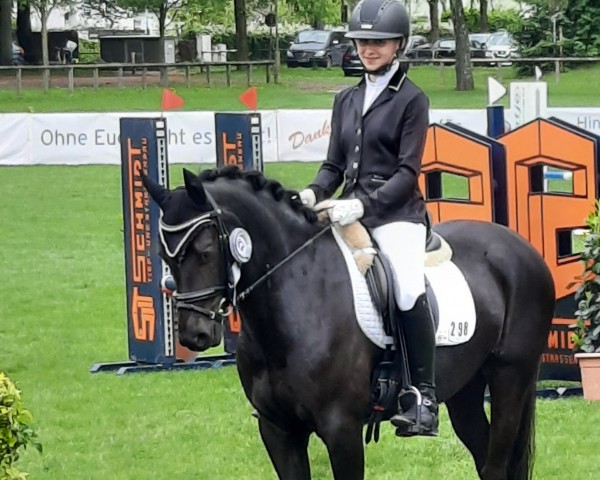 dressage horse SF Mini Magic (German Riding Pony, 2019, from Magic Friday B WE)