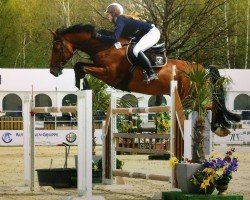 jumper Conner 49 (Oldenburg show jumper, 2006, from Colander)