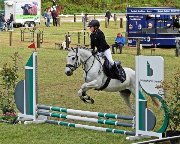 Dressurpferd Hesselteichs Lucky Dulcio (Deutsches Reitpony, 2009, von Lucky Lao II)