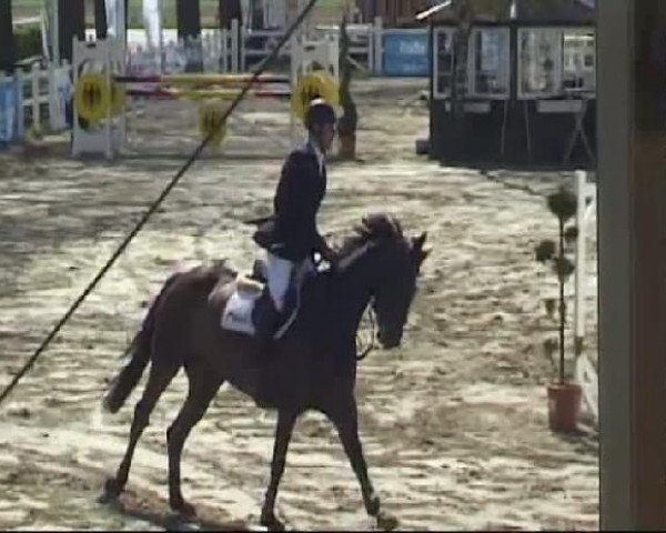 Werne-Lenklarer Reitertage vom 13.-15.+17.-22.04.2012 auf der Reitsportanlage Gripshöver
