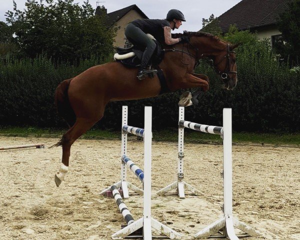 jumper Landlord Leuchtfeuer (Mecklenburg, 2017, from Leevster)