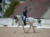 dressage horse Emluar Cheeky Charlie (Welsh mountain pony (SEK.A), 2016, from Nerwyn Telor)