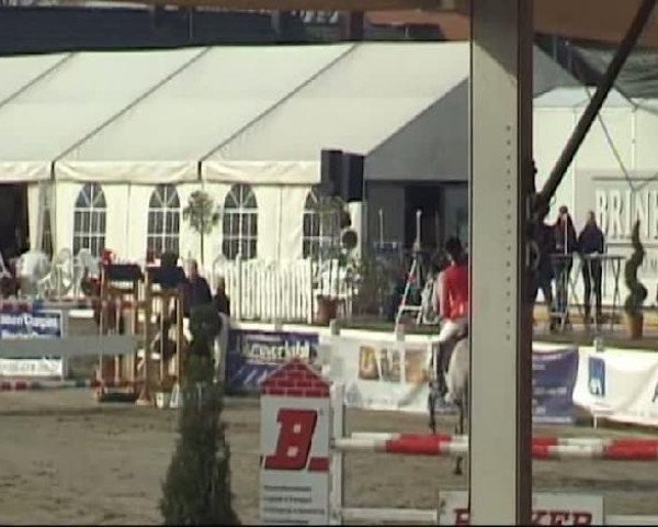 Werne-Lenklarer Reitertage vom 13.-15.+17.-22.04.2012 auf der Reitsportanlage Gripshöver