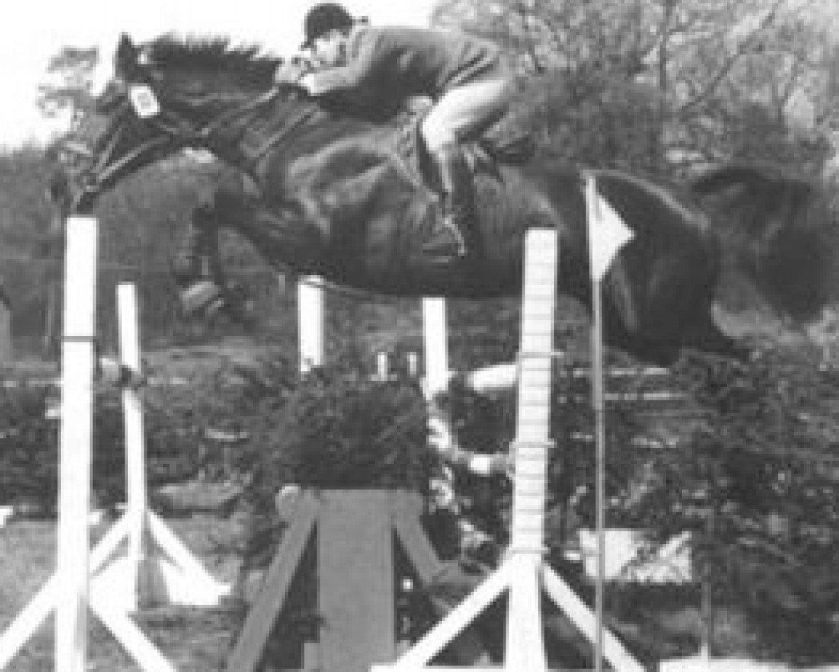 Zuchtstute Valine (Holsteiner, 1961, von Cottage Son xx)