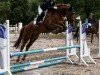 dressage horse Far Lap the Cloud Dancer (German Sport Horse, 2019, from Farewell III)