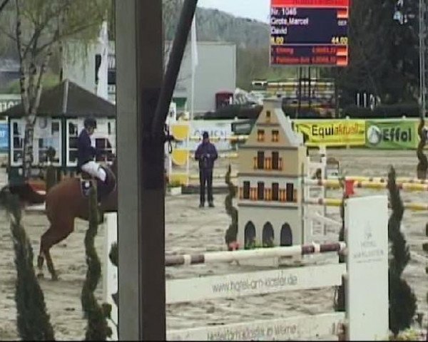Werne-Lenklarer Reitertage vom 13.-15.+17.-22.04.2012 auf der Reitsportanlage Gripshöver