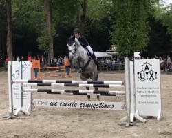 jumper Diaconti 2 (Hanoverian, 2017, from Diacontinus)