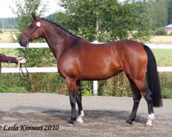 broodmare Tierana 2533 FIN (Holsteiner, 2003, from Paramount)