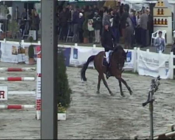 Werne-Lenklarer Reitertage vom 13.-15.+17.-22.04.2012 auf der Reitsportanlage Gripshöver