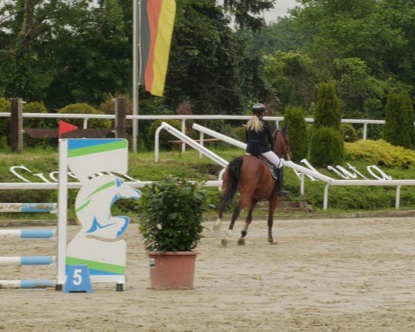 Reitturnier Bornheim-Widdig 2024