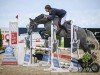 jumper Obolenskaja Vom Weihergut CH (Swiss Warmblood, 2019, from Cornet Obolensky)