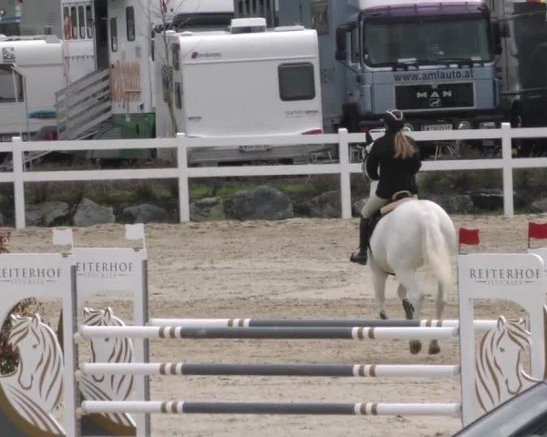 Reitturnier St. Margarethen 2022