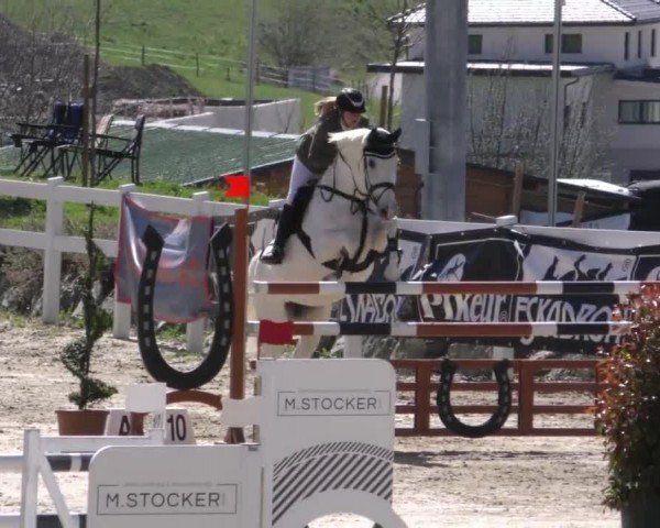 Reitturnier St. Margarethen 2022
